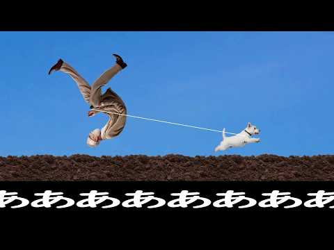 時間内にできるだけ多く文字を入力して犬を散歩させるゲーム【SANPO】